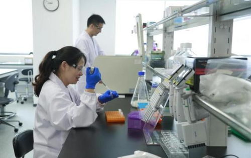 口罩處長 上海產(chǎn)能爆發(fā)背后的生物化工智慧