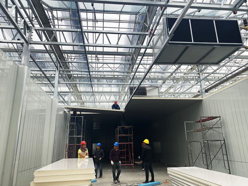 科技賦能農(nóng)業(yè)新愿景 生物化工技術(shù)引領(lǐng)的草莓植物工廠，開啟全年“草莓自由”時代